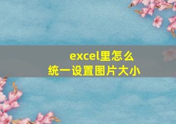 excel里怎么统一设置图片大小