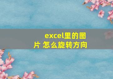 excel里的图片 怎么旋转方向