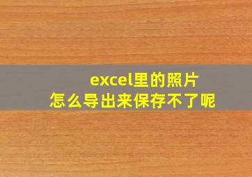 excel里的照片怎么导出来保存不了呢