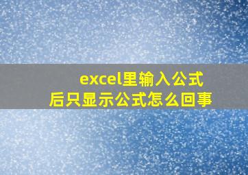 excel里输入公式后只显示公式怎么回事