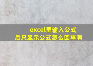 excel里输入公式后只显示公式怎么回事啊