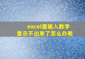 excel里输入数字显示不出来了怎么办呢