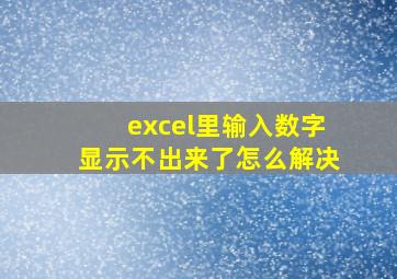 excel里输入数字显示不出来了怎么解决