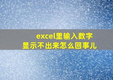 excel里输入数字显示不出来怎么回事儿