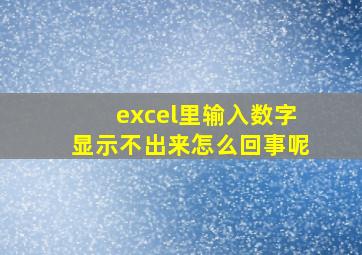 excel里输入数字显示不出来怎么回事呢