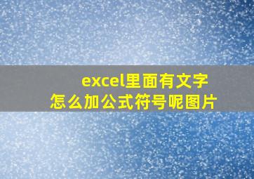 excel里面有文字怎么加公式符号呢图片