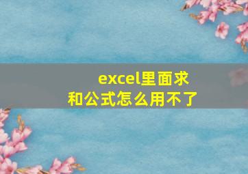 excel里面求和公式怎么用不了