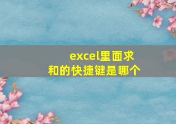 excel里面求和的快捷键是哪个