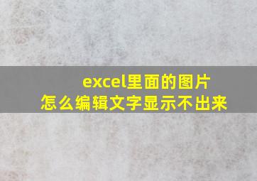 excel里面的图片怎么编辑文字显示不出来