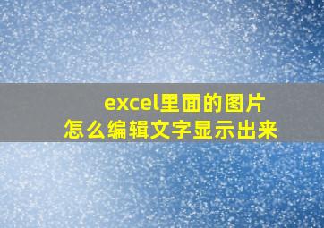 excel里面的图片怎么编辑文字显示出来