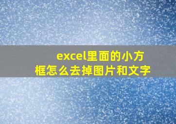 excel里面的小方框怎么去掉图片和文字