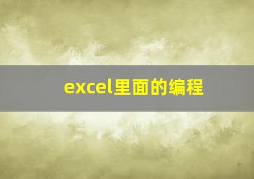 excel里面的编程