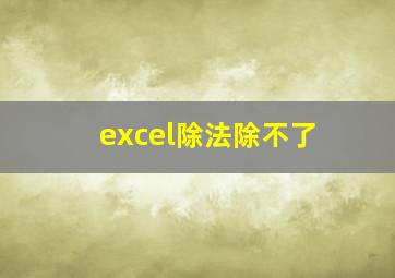 excel除法除不了