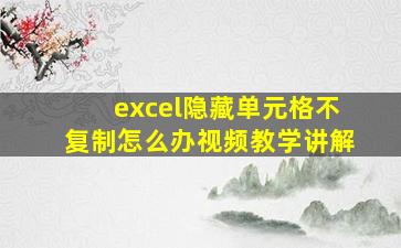 excel隐藏单元格不复制怎么办视频教学讲解