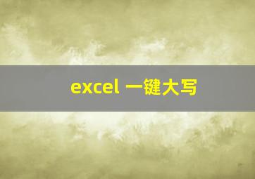 excel 一键大写