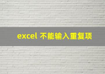 excel 不能输入重复项