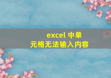 excel 中单元格无法输入内容