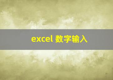 excel 数字输入