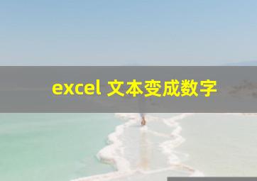 excel 文本变成数字