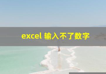 excel 输入不了数字