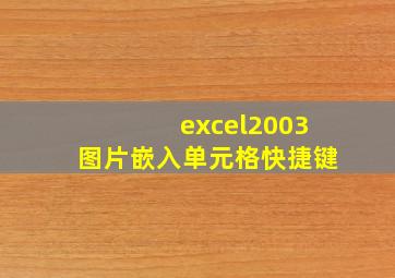 excel2003图片嵌入单元格快捷键