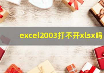 excel2003打不开xlsx吗