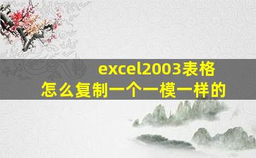 excel2003表格怎么复制一个一模一样的