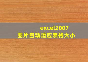 excel2007图片自动适应表格大小