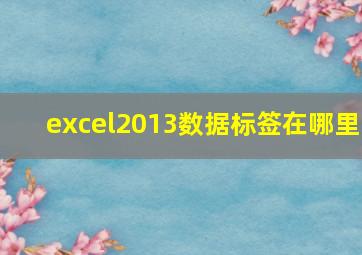 excel2013数据标签在哪里