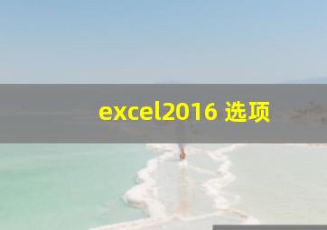 excel2016 选项