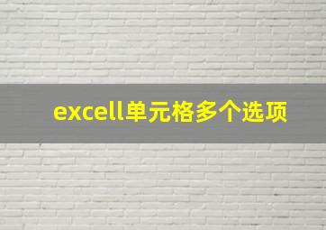 excell单元格多个选项