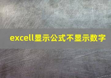 excell显示公式不显示数字