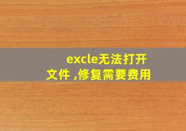 excle无法打开文件 ,修复需要费用