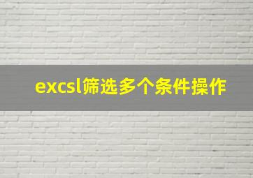 excsl筛选多个条件操作