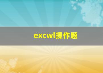 excwl操作题