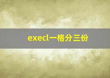 execl一格分三份