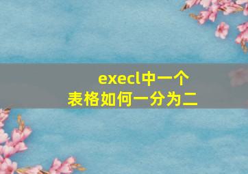 execl中一个表格如何一分为二