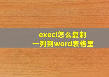 execl怎么复制一列到word表格里