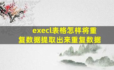 execl表格怎样将重复数据提取出来重复数据