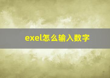 exel怎么输入数字