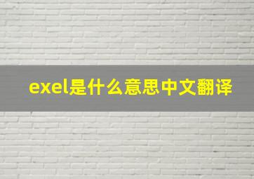 exel是什么意思中文翻译