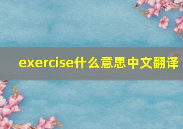 exercise什么意思中文翻译