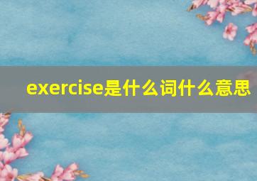 exercise是什么词什么意思