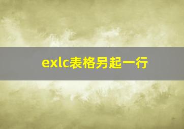 exlc表格另起一行