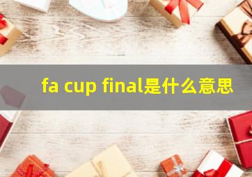 fa cup final是什么意思