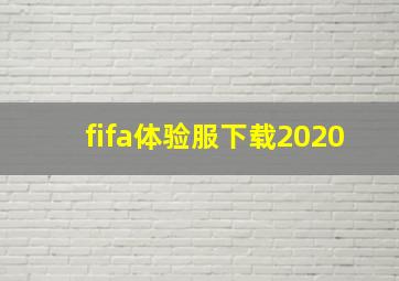 fifa体验服下载2020