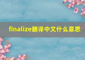 finalize翻译中文什么意思