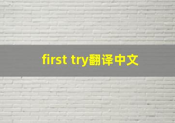 first try翻译中文