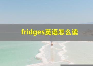 fridges英语怎么读