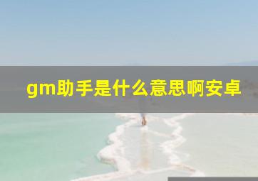 gm助手是什么意思啊安卓